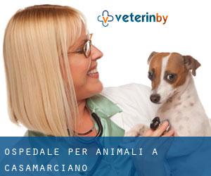 Ospedale per animali a Casamarciano