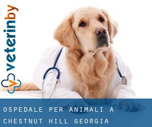 Ospedale per animali a Chestnut Hill (Georgia)