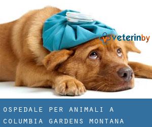 Ospedale per animali a Columbia Gardens (Montana)
