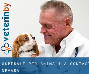 Ospedale per animali a Contact (Nevada)