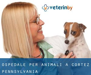 Ospedale per animali a Cortez (Pennsylvania)