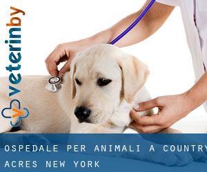 Ospedale per animali a Country Acres (New York)