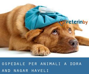Ospedale per animali a Dādra and Nagar Haveli