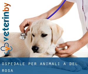 Ospedale per animali a Del Rosa