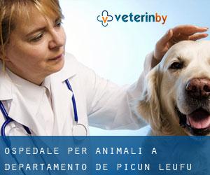 Ospedale per animali a Departamento de Picún Leufú