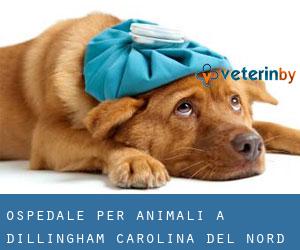 Ospedale per animali a Dillingham (Carolina del Nord)