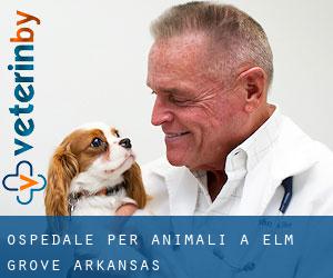 Ospedale per animali a Elm Grove (Arkansas)