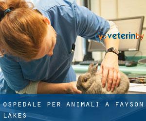 Ospedale per animali a Fayson Lakes