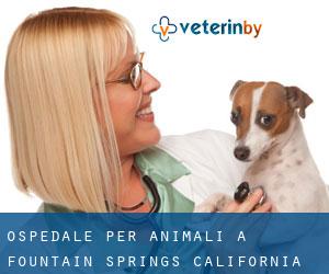 Ospedale per animali a Fountain Springs (California)