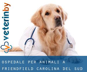 Ospedale per animali a Friendfield (Carolina del Sud)