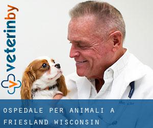 Ospedale per animali a Friesland (Wisconsin)