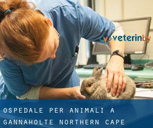 Ospedale per animali a Gannaholte (Northern Cape)