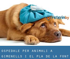 Ospedale per animali a Gimenells i el Pla de la Font