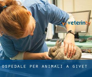 Ospedale per animali a Givet