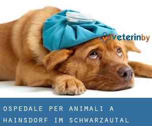 Ospedale per animali a Hainsdorf im Schwarzautal