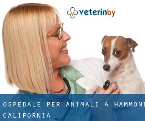 Ospedale per animali a Hammond (California)