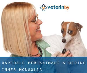 Ospedale per animali a Heping (Inner Mongolia)