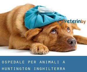 Ospedale per animali a Huntington (Inghilterra)