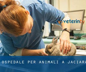 Ospedale per animali a Jaciara