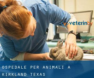 Ospedale per animali a Kirkland (Texas)