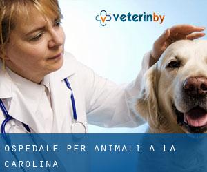 Ospedale per animali a La Carolina