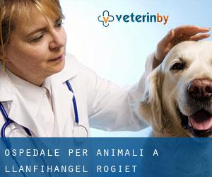 Ospedale per animali a Llanfihangel Rogiet