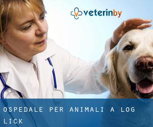 Ospedale per animali a Log Lick