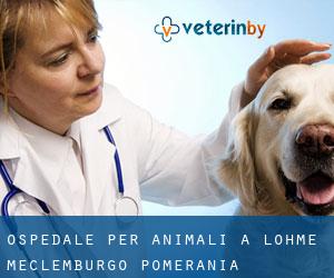 Ospedale per animali a Lohme (Meclemburgo-Pomerania Anteriore)
