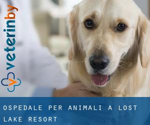 Ospedale per animali a Lost Lake Resort