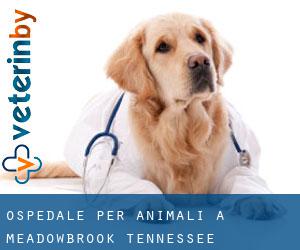 Ospedale per animali a Meadowbrook (Tennessee)