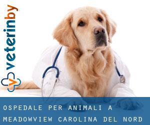 Ospedale per animali a Meadowview (Carolina del Nord)