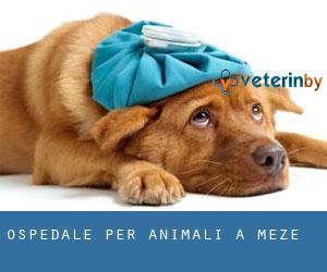Ospedale per animali a Mèze