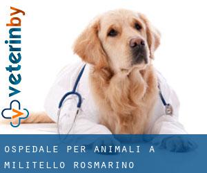 Ospedale per animali a Militello Rosmarino