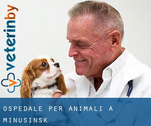 Ospedale per animali a Minusinsk