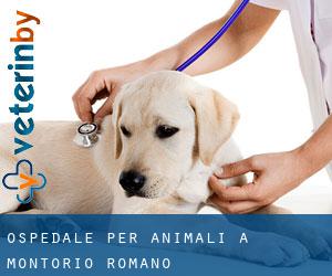 Ospedale per animali a Montorio Romano