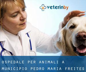 Ospedale per animali a Municipio Pedro María Freites