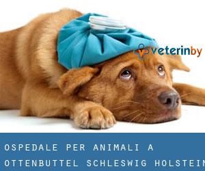Ospedale per animali a Ottenbüttel (Schleswig-Holstein)