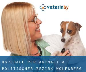 Ospedale per animali a Politischer Bezirk Wolfsberg
