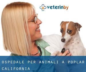 Ospedale per animali a Poplar (California)
