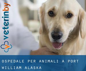 Ospedale per animali a Port William (Alaska)