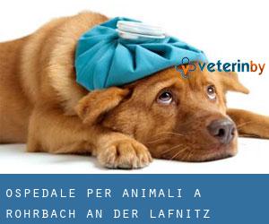 Ospedale per animali a Rohrbach an der Lafnitz