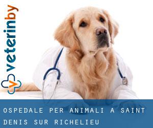 Ospedale per animali a Saint-Denis-sur-Richelieu