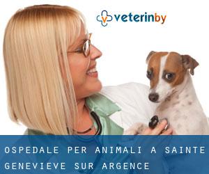 Ospedale per animali a Sainte-Geneviève-sur-Argence