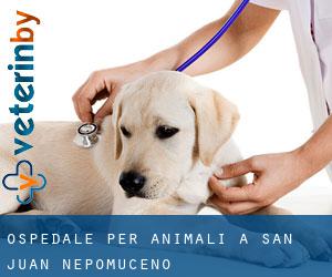 Ospedale per animali a San Juan Nepomuceno