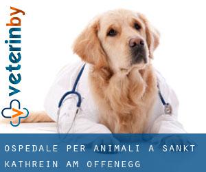 Ospedale per animali a Sankt Kathrein am Offenegg