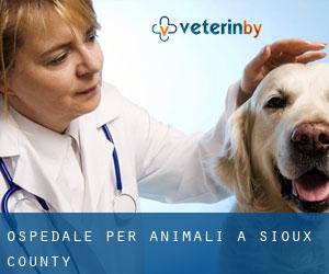 Ospedale per animali a Sioux County