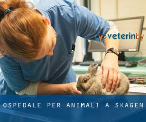 Ospedale per animali a Skagen