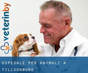 Ospedale per animali a Tillsonburg