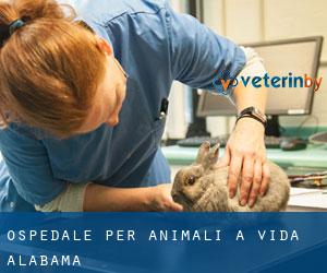 Ospedale per animali a Vida (Alabama)