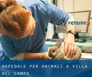 Ospedale per animali a Villa del Campo